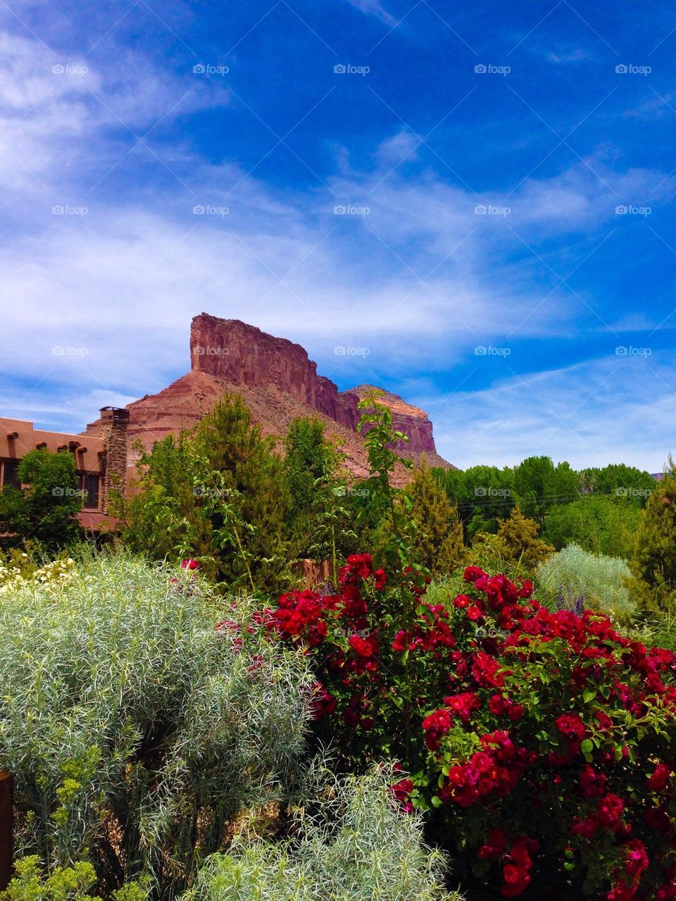 Gateway, Colorado #2