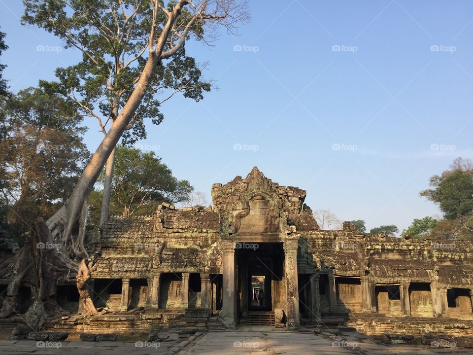 Ankor wat