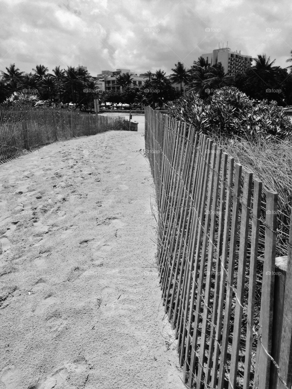 Beach walk way