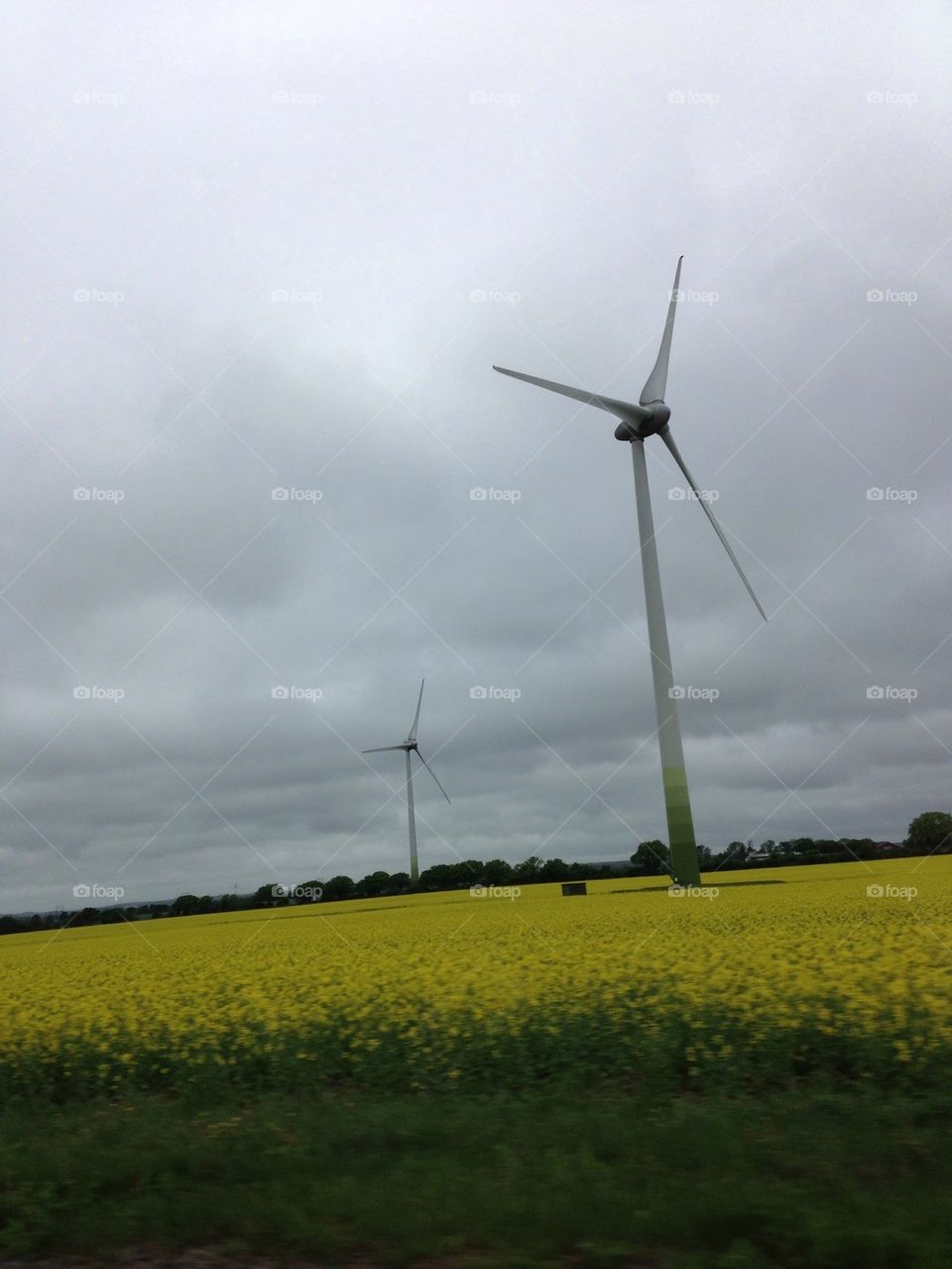 Wind mill on a field