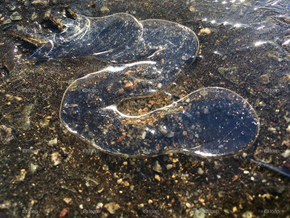 Ice snake - still frozen on the ground!