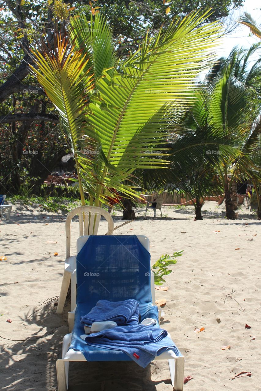 Tropical beach lounger 