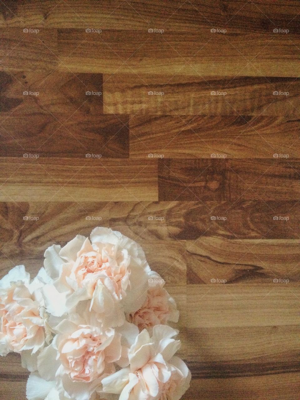 Champagne coloured flowers on a wood background