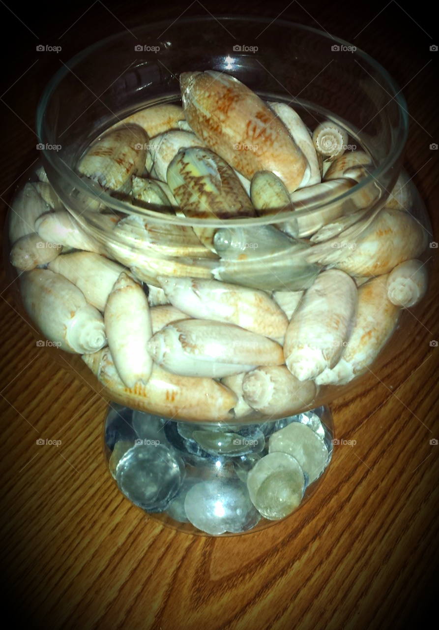 jar of olive shells