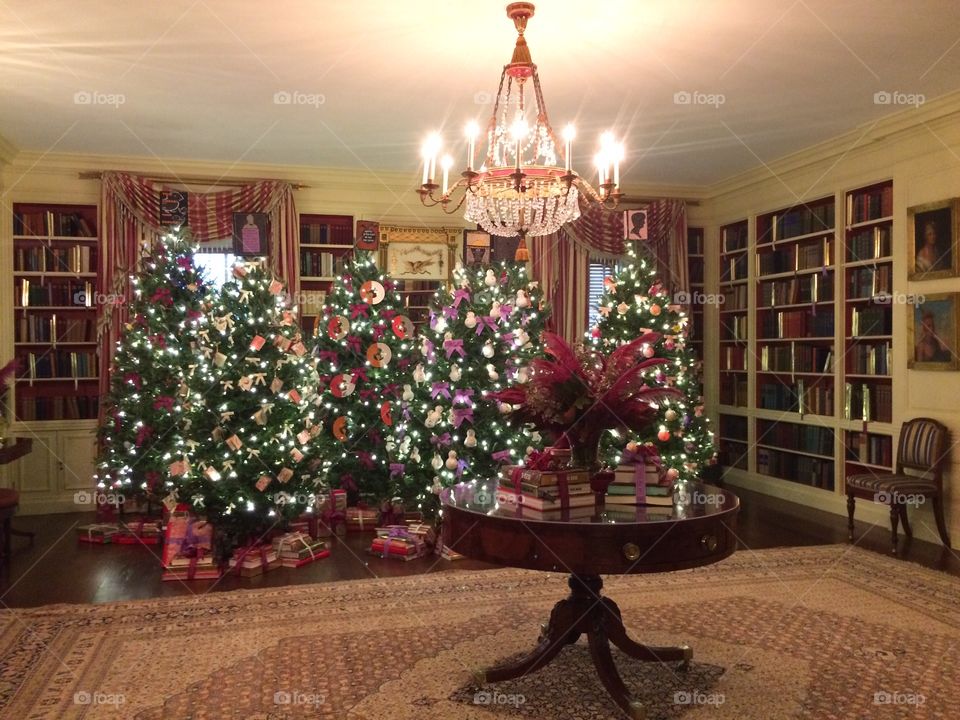 Multiple Christmas trees. White House Washington DC. 