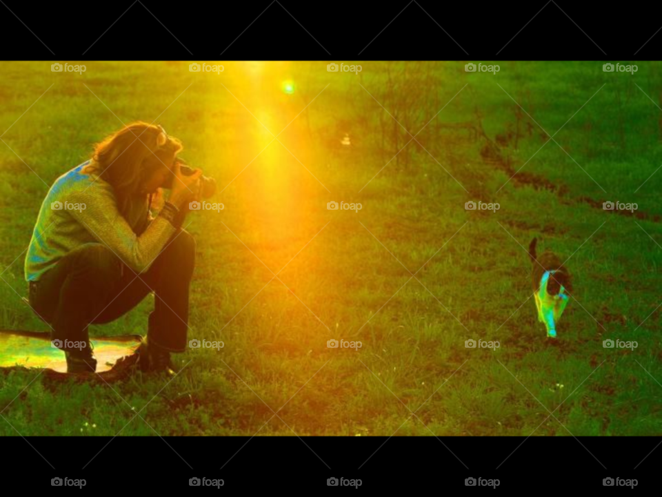 light photography cat camera by lightanddrawing