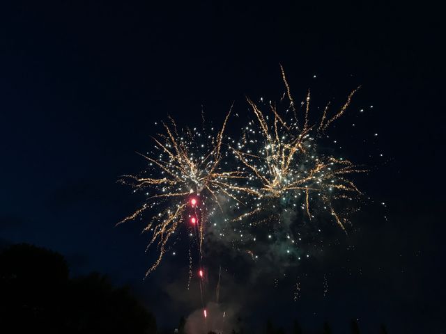 Firework 