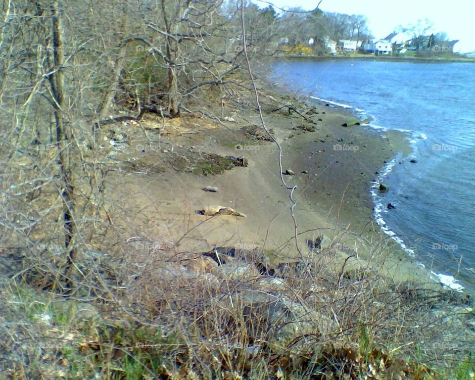 Narragansett bay shore line