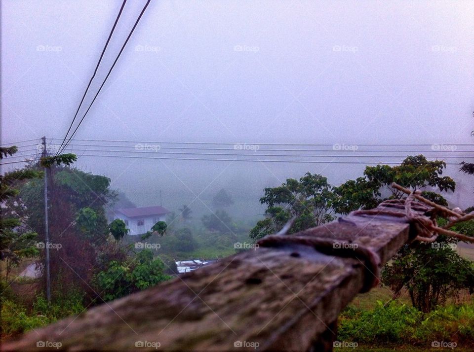 Foggy morning in a village