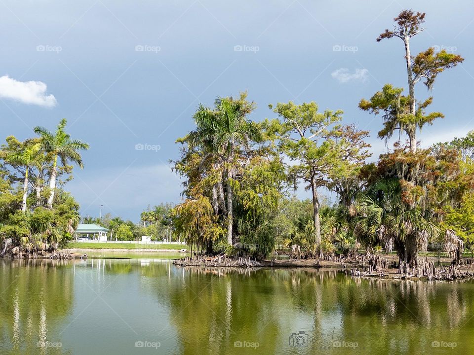 Beautiful landscapes