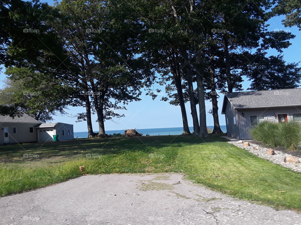 lake though the trees