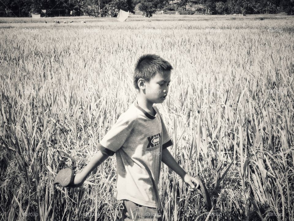Asian boy walking in field