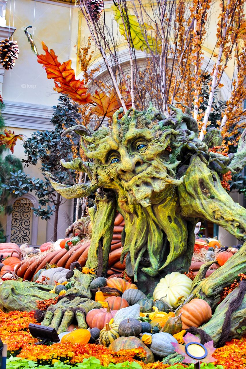 Pumpkin 🎃 fall season at the Caesar Place, Las Vegas. 
