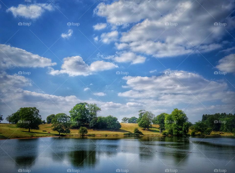 Lake river . Trees 