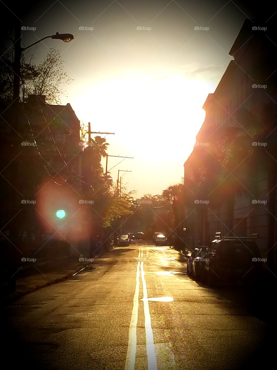 Pickney St .. Downtown Charleston SC ...  Tuesday morning sunshine