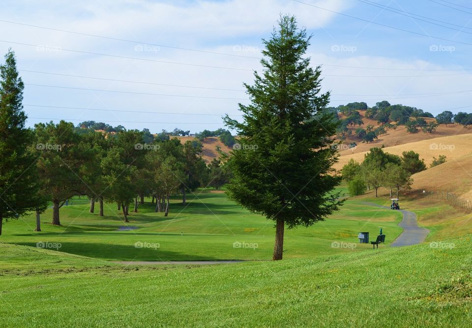 Fun Golf Course. Fairfield California