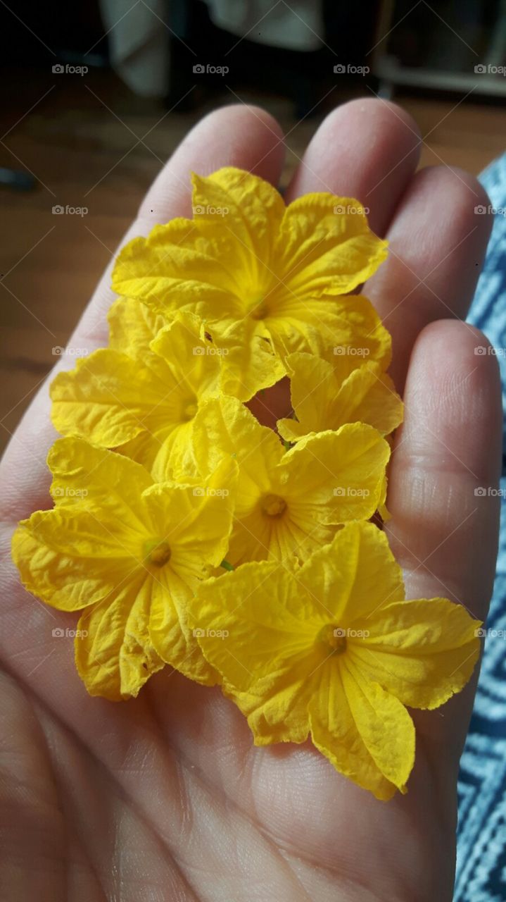 цветок в руке