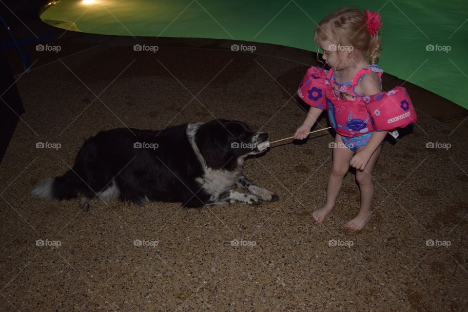 Dog gets the snack. Girl feeding pet her snack