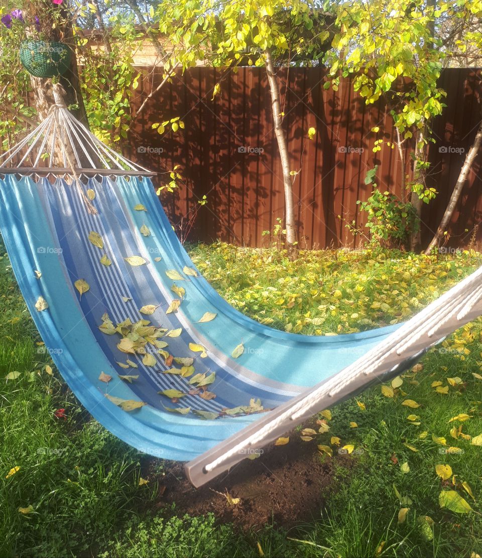 hammock