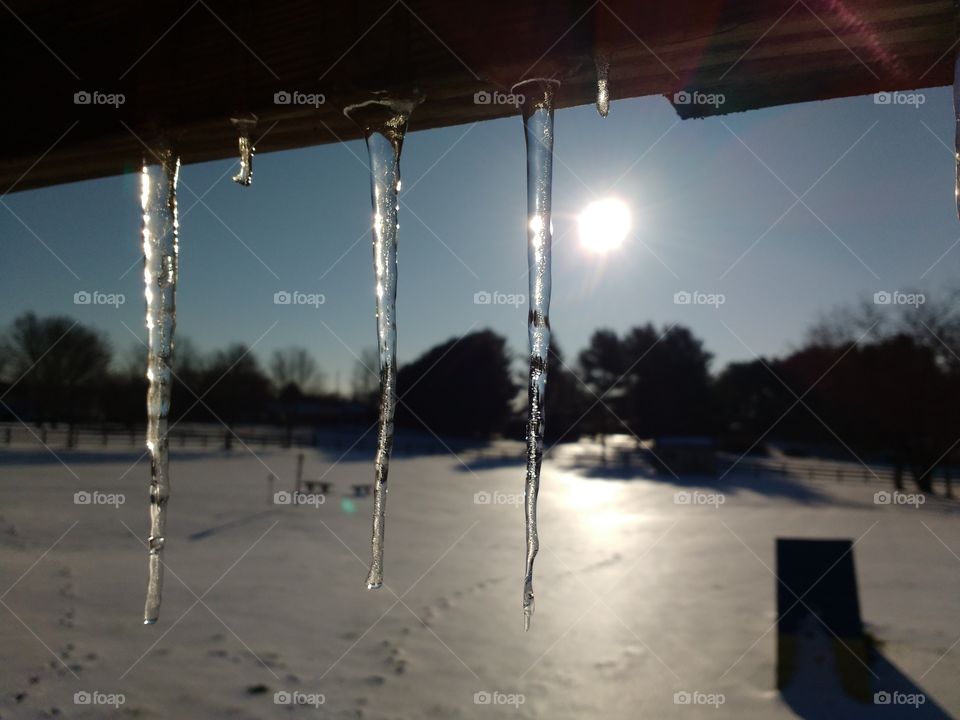 icicles hanging from a beam in the sunshine