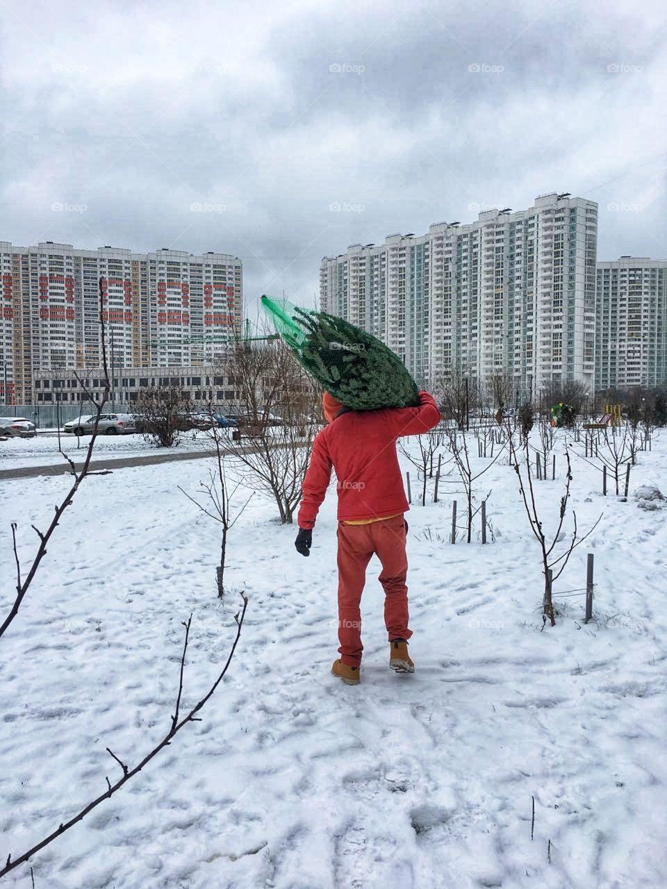 A tree carrier.