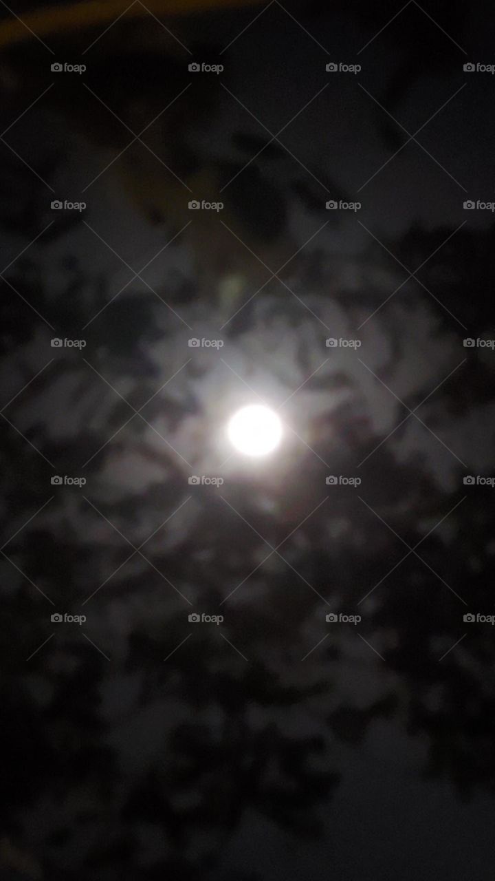 Moon on New Year 2023