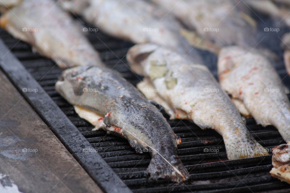 Grilled Fish