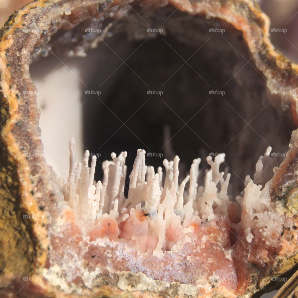 genode rock mineral stalamites inside pink delicate long thin