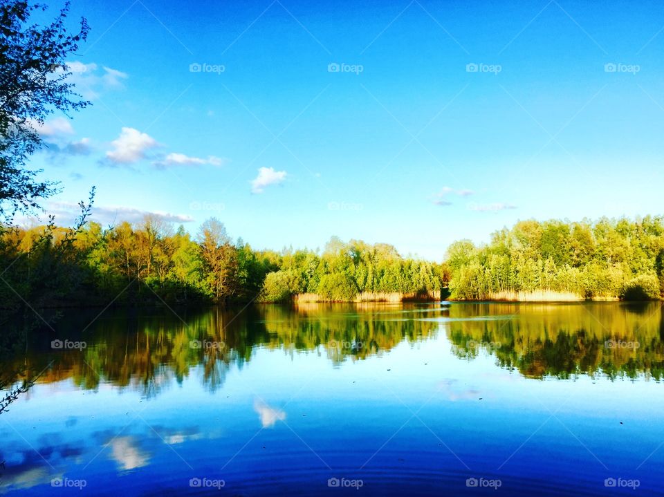 Lakeside reflections 