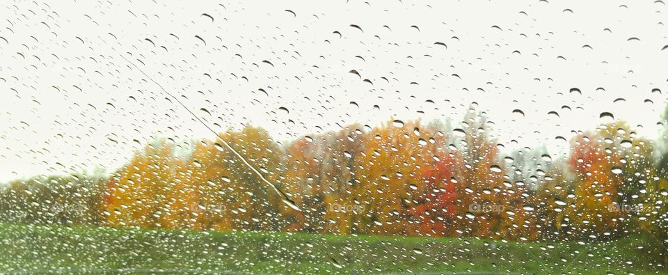 Rain in Autumn