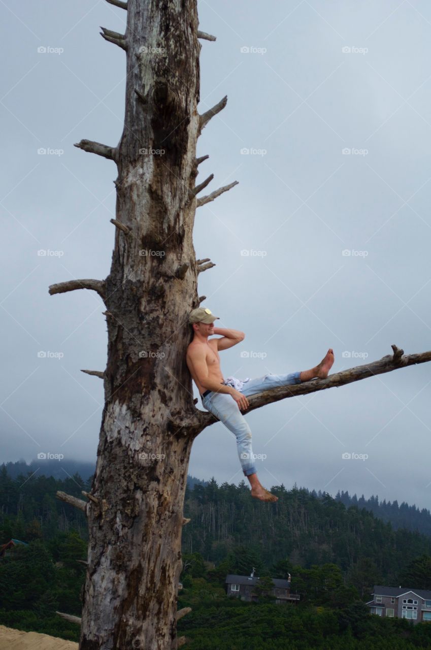 Levi climbs tree on beach 