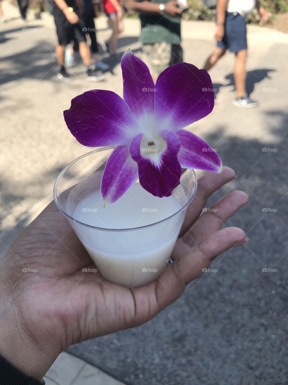 Loved drink at Sea World San Diego. Eat the flower then take the saki shot! 