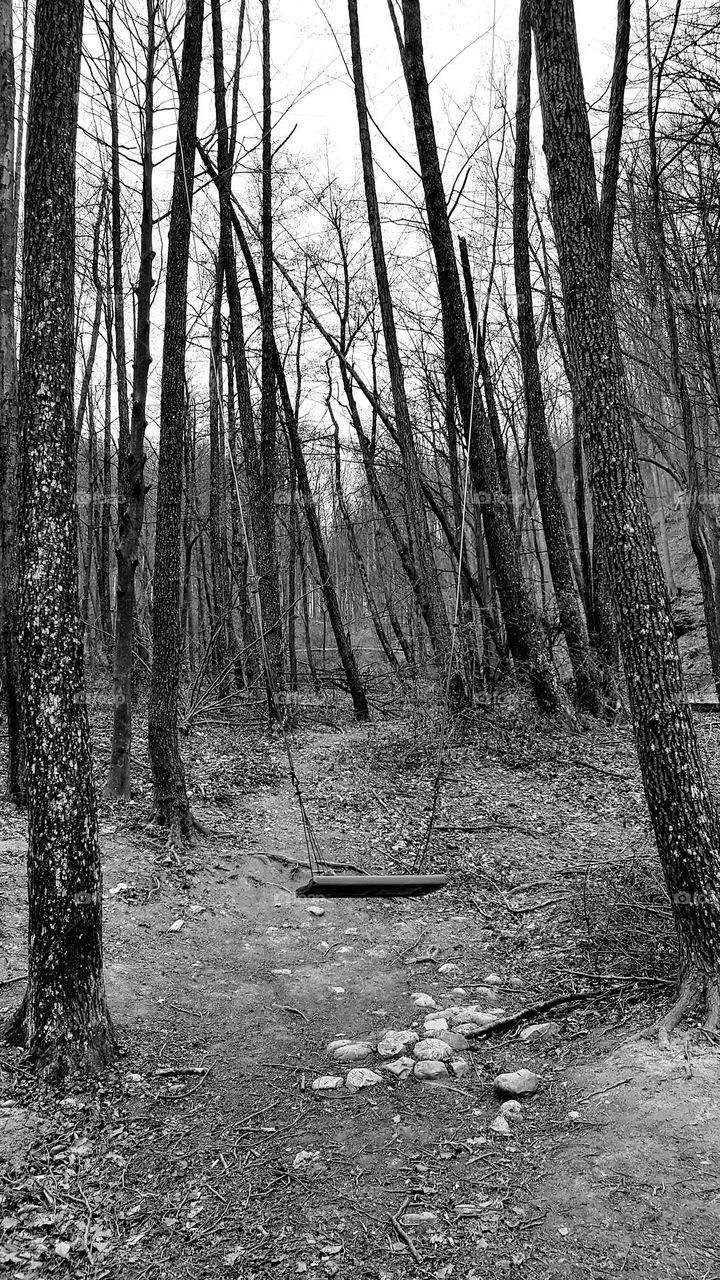 nostalgic swing in the forest