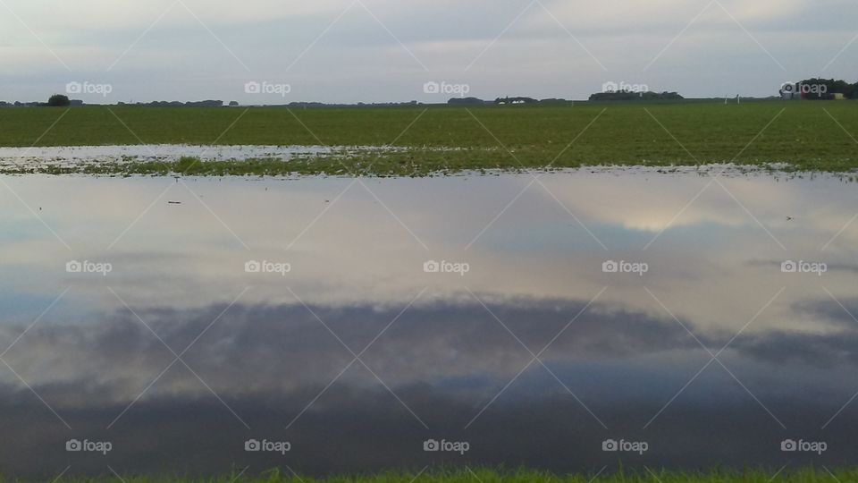 Landscape, Tree, Lake, Water, Reflection