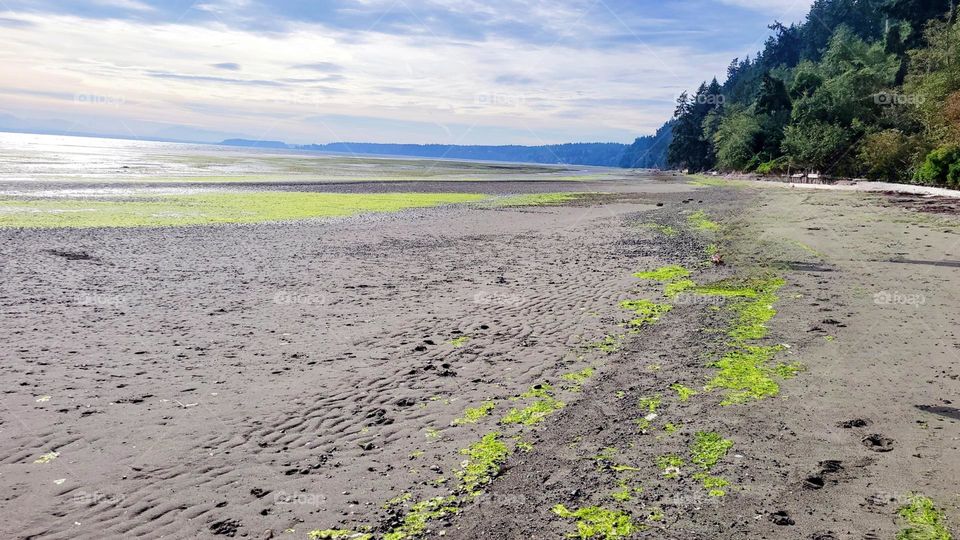 Whidbey Island - pacific northwest beauty with beautiful beaches and breathtaking sunsets. days spent searching for agates and nights enjoying fresh caught seafood and crab.