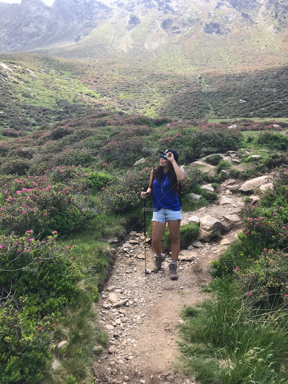 A girl wearing a blue T-shirt, light jeans shorts and black hat, holding a long stick in the hand .Hiking in the middle of nature, on a small trail with lots of rocks , there are many flowers around, and the mountains are majestic . 