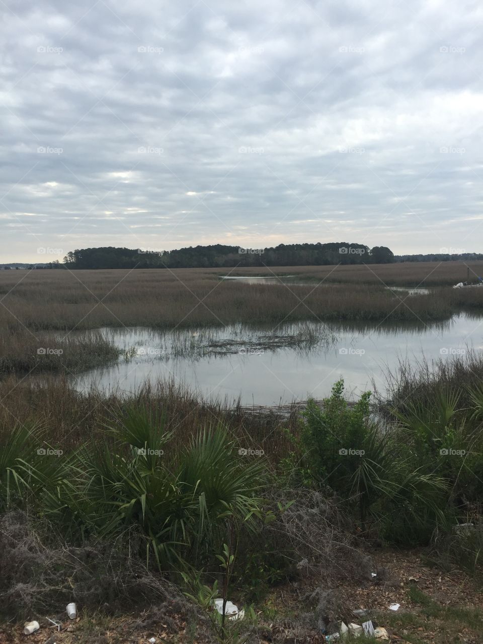 Savannah's Scenic Marshes