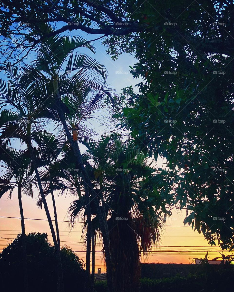 🌄🇺🇸 An extremely beautiful dawn in Jundiaí, interior of Brazil. Cheer the nature! / 🇧🇷 Um amanhecer extremamente bonito em Jundiaí, interior do Brasil. Viva a natureza! 
