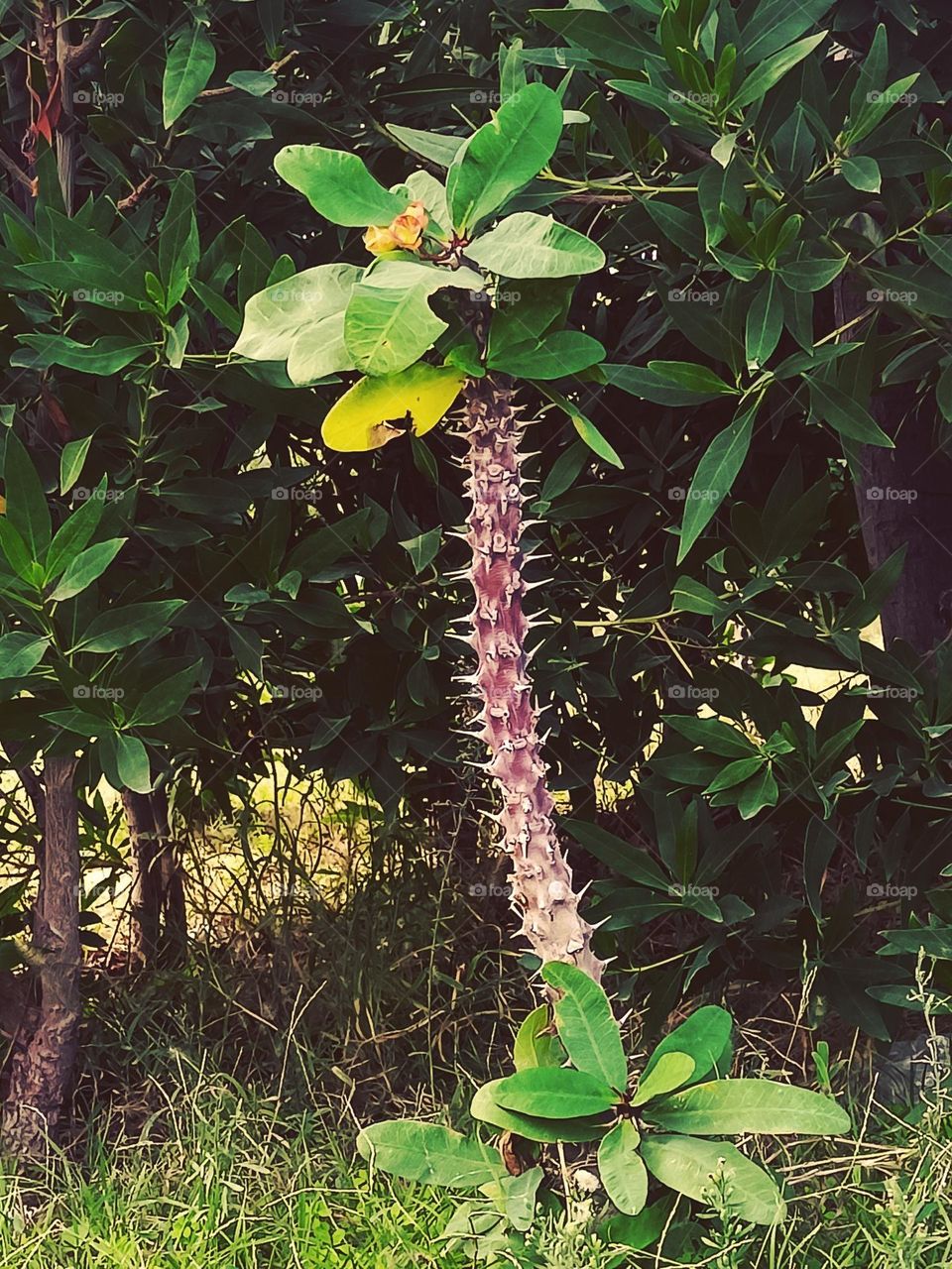 it's look like amazing but it may hurt you as some people in our life .