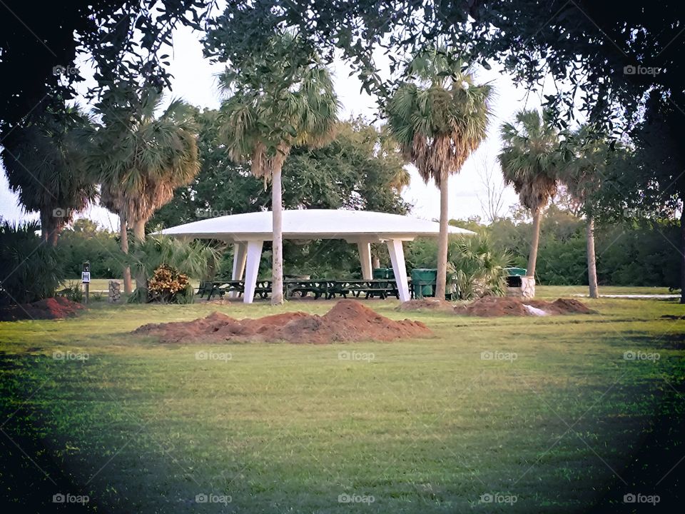Ufo picnic. picnic shelter at Fort desoto they all remind me flying saucers.