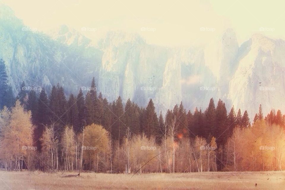 Yosemite Valley in Fall