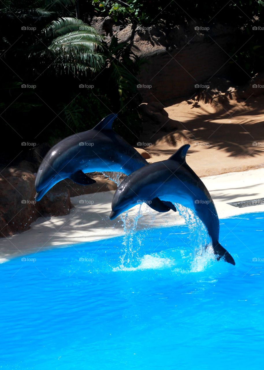 Something beautiful-what do you think?