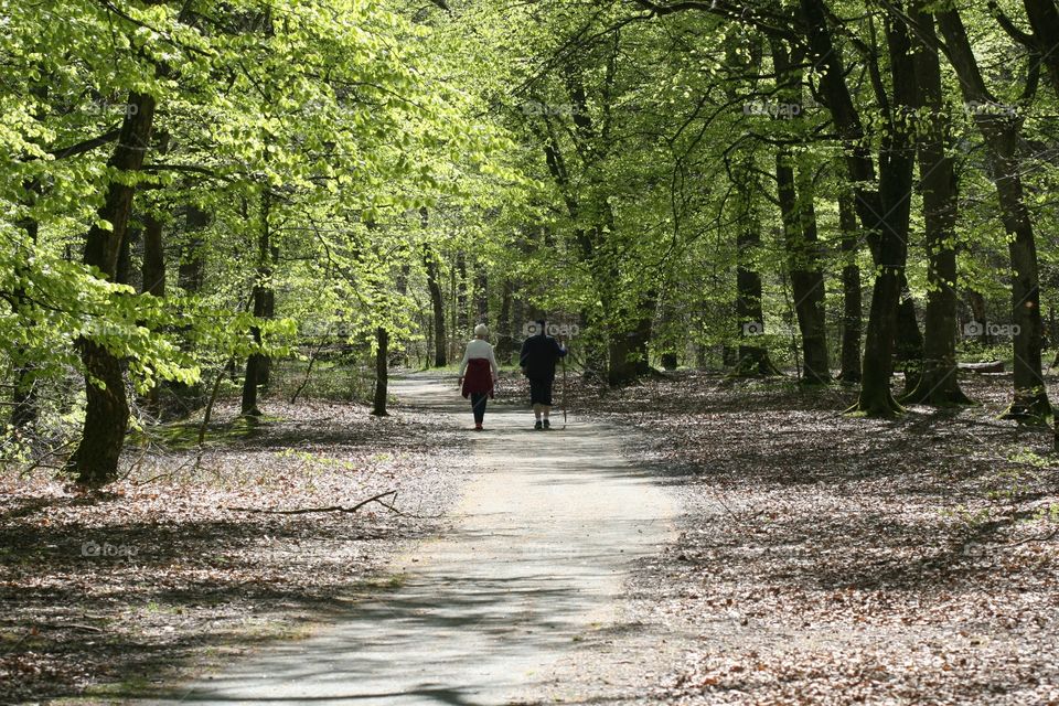 Snogeholmssjön, Skåne, Sweden