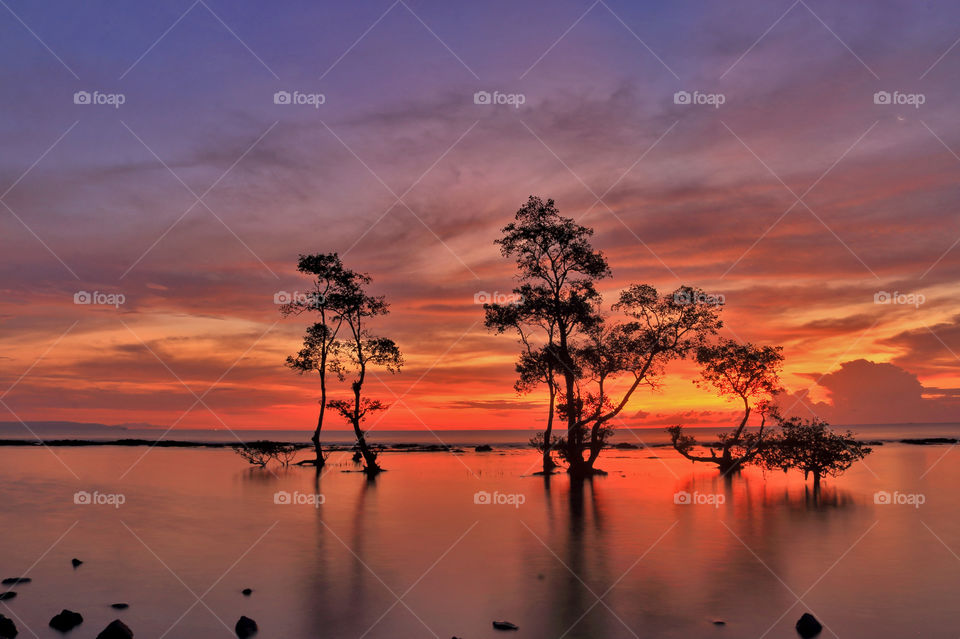Silhouette of trees. Beautiful sunset at Anyer, west Java, Indonesia.