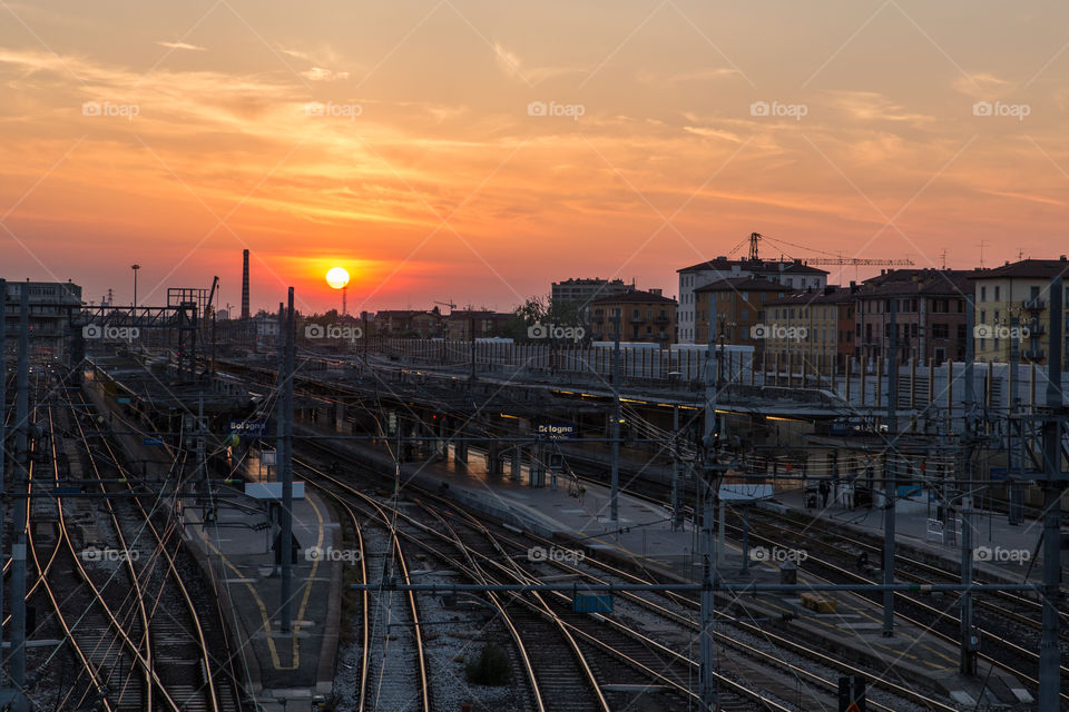 Bologna (Italy)