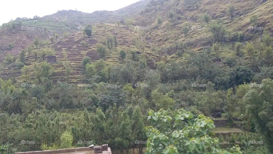 Glory be to God, the magnificent and picturesque view and the natural green trees are a view that is nothing more wonderful than it