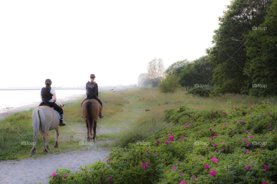 Horsebackriding . Two girls horseback riding by the sea