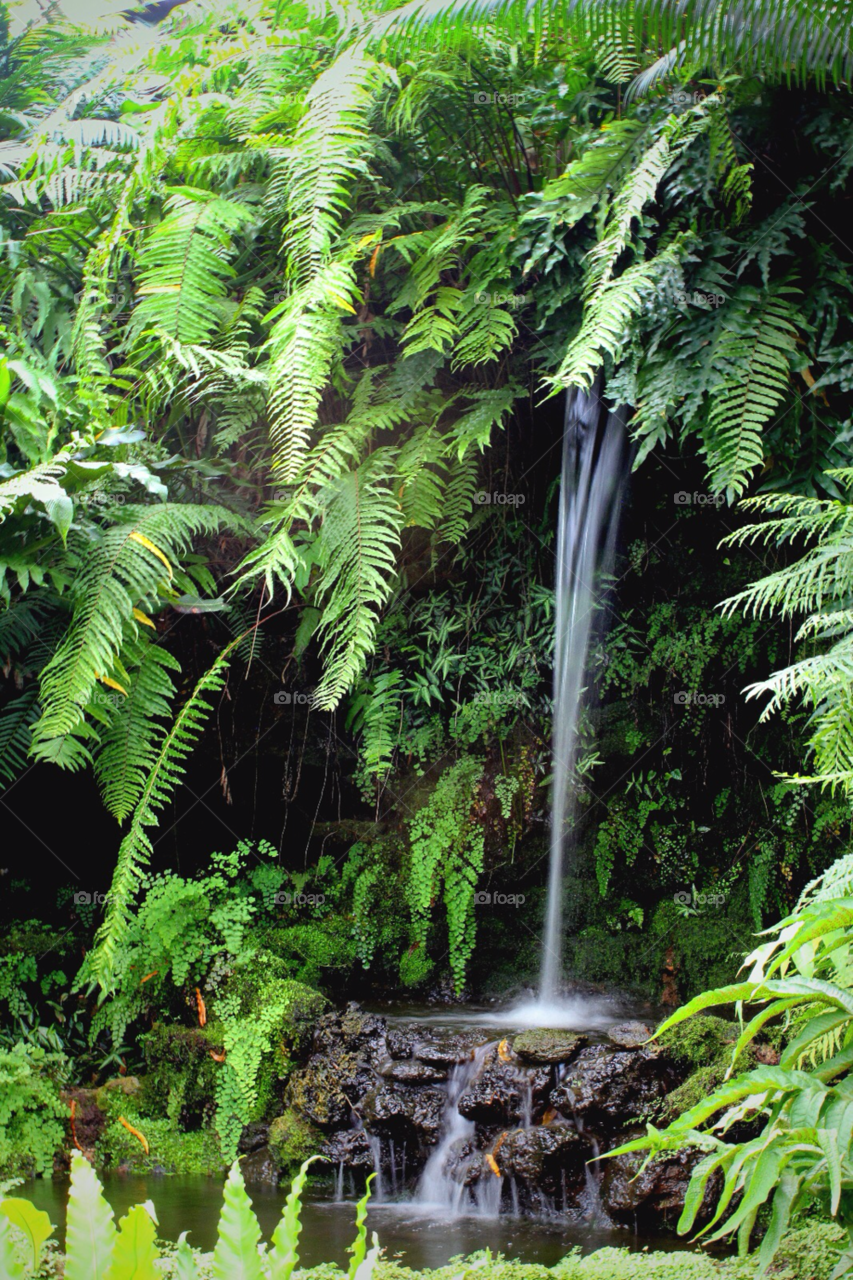 green pond waterfall beautiful by stevehardley7