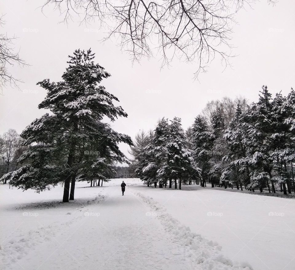 winter nature landscape and person walking minimalistic lifestyle