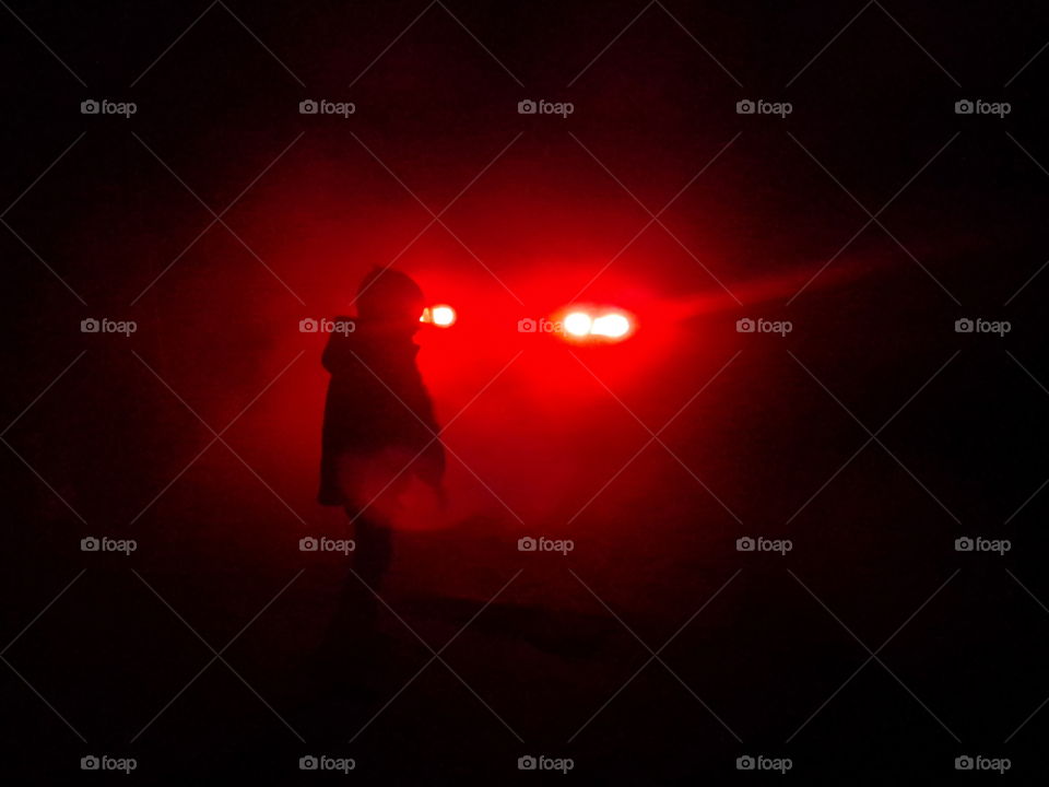Illuminated at night by red headlight beam